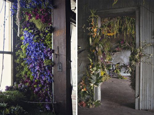 linenandwool:(via lisa waud infills abandoned detroit house with thousands of flowers)