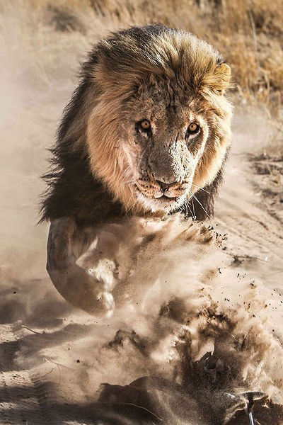 ethereo:  Pure Power via 500px      
