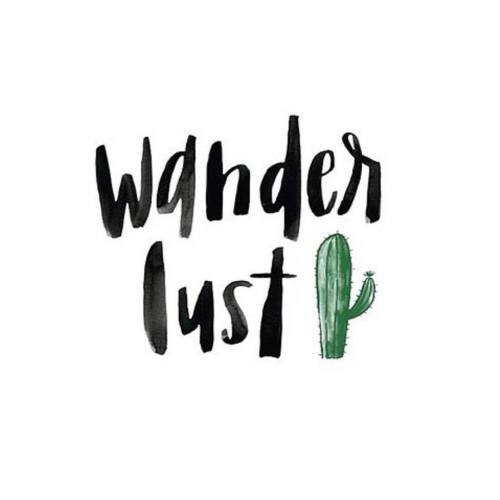Never stop wondering. Never stop wandering ✨ #travel #quote #inspo