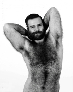 Daddyfurrybear:photomore Gay Bear Here
