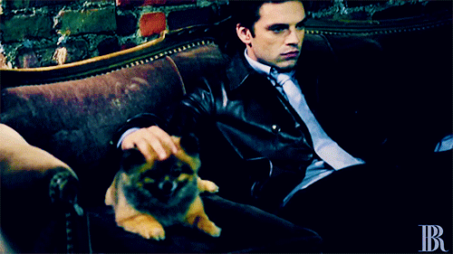 itsvarza:#an extremely important gifset ft sebastian with a dog