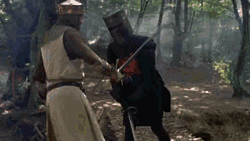 leopardheart27:  Let us strive to be as determined as the black knight in all our