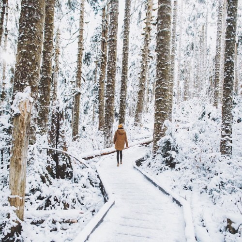 jacindaelena:   Sam Elkins 
