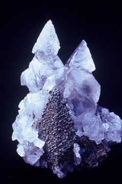 ggeology:  Calcite and Pyrite // Brushy Creek