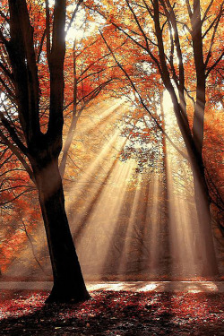  plasmatics: Dressed To Shine ~ By Lars van de Goor »  