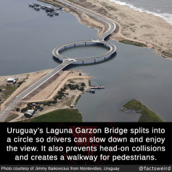 mindblowingfactz:  Uruguay’s Laguna Garzon Bridge splits into a circle so drivers can slow down and enjoy the view. It also prevents head-on collisions and creates a walkway for pedestrians. (source)Photo : Jimmy Baikovicius from Montevideo, Uruguay