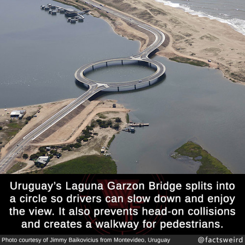 mindblowingfactz:  Uruguay’s Laguna Garzon Bridge splits into a circle so drivers can slow down and enjoy the view. It also prevents head-on collisions and creates a walkway for pedestrians. (source)Photo : Jimmy Baikovicius from Montevideo, Uruguay