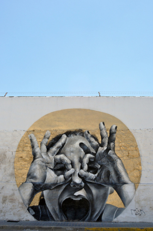 fer1972:  Street Art by Mesa