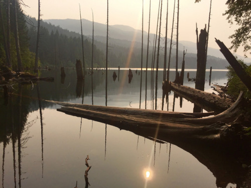 Smokey skies cast eerie light in the Anthropocene. by John Anderson Smoke from fires raging across t