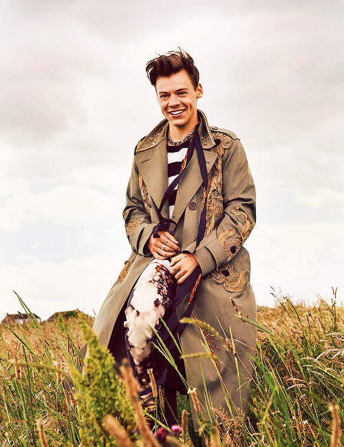 liam-harry:  Short haired Harry for Another Man Magazine