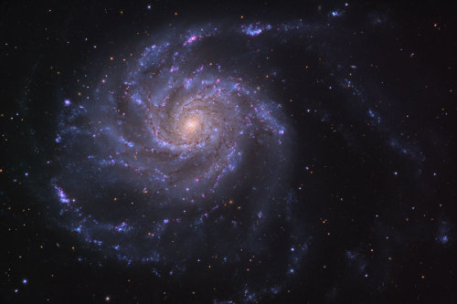 fyeahastropics: M101: The Pinwheel Galaxy Credit &amp; Copyright: Adam Block, Mt. Lemmon SkyCent