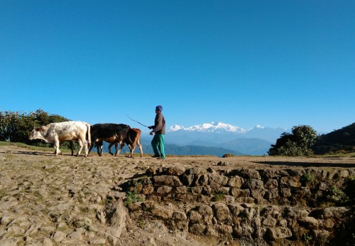 Memories from India and Nepal.