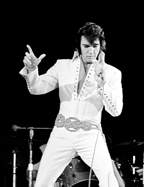 XXX cursedbymusic:  Elvis  photo