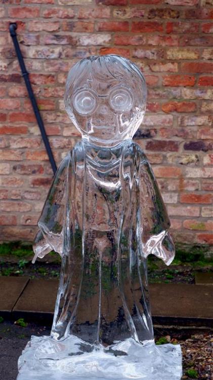 IMMOBULUS> Harry Potter turns toice.Part of the York Ice Trail 2020.