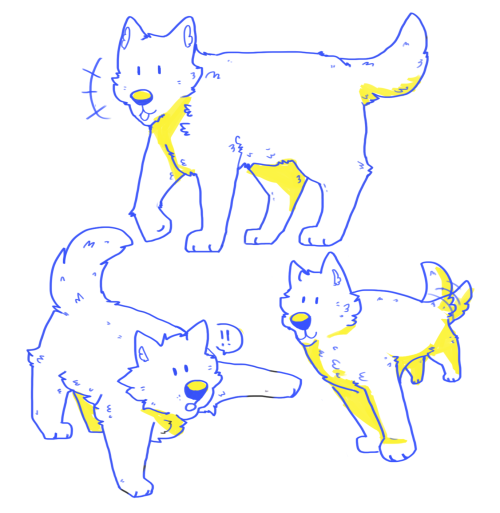 largecat:  boofs from the past however many days 
