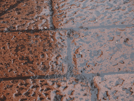 Rain Drops