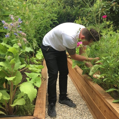 In the garden with Chef Dave Hands in the borlotti bean, borage and eggplant patch