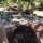 andres-matheus:  