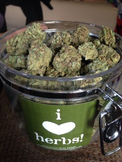 tiannajuana:  Stocked up on fresh Blue Dream,