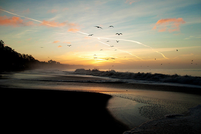 esteldin:  new day new brighton by Lisa{santacrewsgirl} on Flickr. 