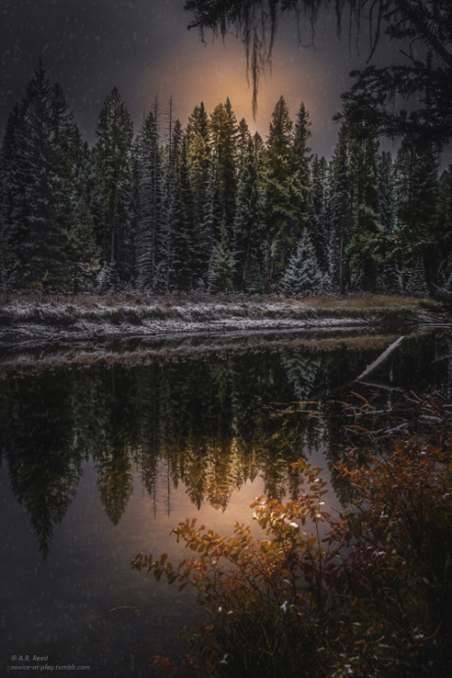 novice-at-play: “You are summer to my winter heart” ~Gemma Troy