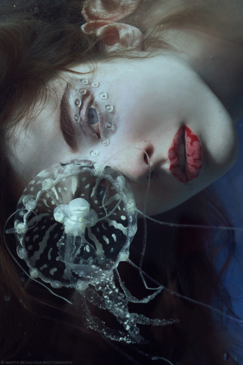 martabevacquaphotos:  marta bevacqua photography