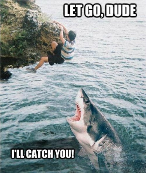 meme4u:  let go, dude