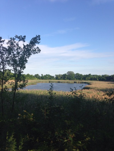 Ridgewood Reservoir, Queens, NY