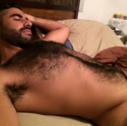 greekromeo:  [GREEK ROMEO]  HAIRY - SCRUFF