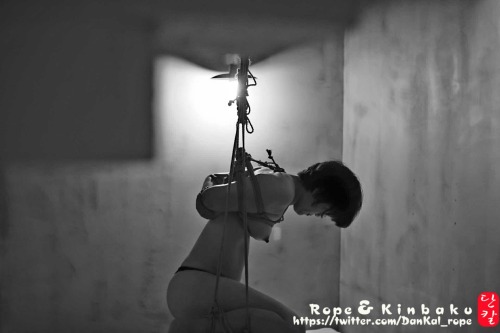dance-rope:  2016 Rope : DanKal