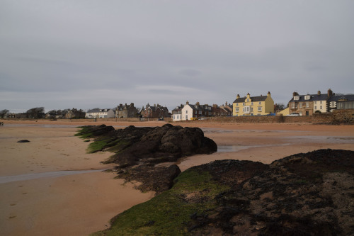 Fife Coastal Path from Elie to Elie Chain WalkWhen I spotted something that looked like a cave in th