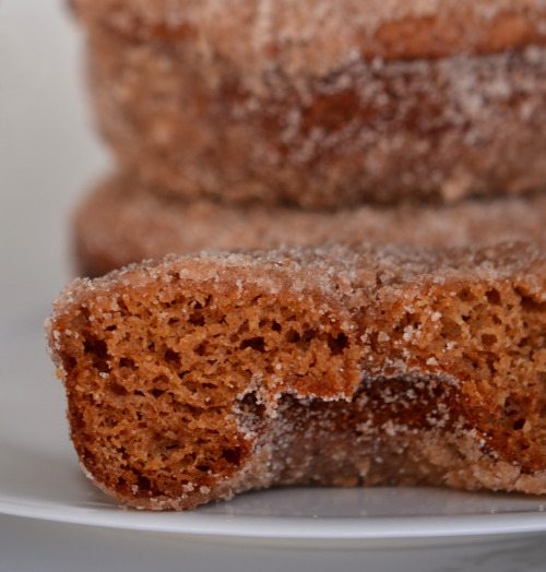 We welcomed in the New Year yesterday with homemade baked apple cider donuts. While they were still 