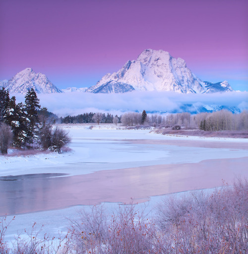 americasgreatoutdoors:The purple light of dawn glows in the morning sky above Mount Moran at Grand T