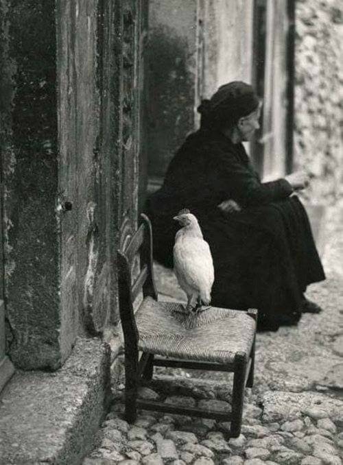 federer7: Italia, Scanno, Abruzzo, 1955© Giuseppe Moder