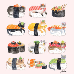 eatsleepdraw:  Sushi cats! Tumblr | Instagram |