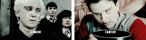 mermaidastrology:remusjohnslupin:harry potter + astrological signsThis might be my favorite thing on