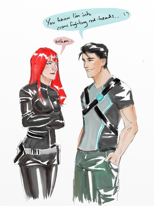 shell-forest: So my friend Cassey and I were talking about DC/Marvel crossovers and just Natasha and