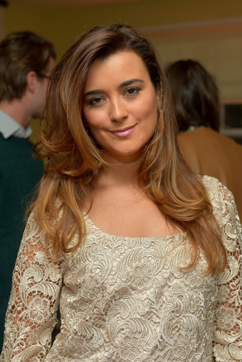 famoustits23:  famoustits23:  156 COTE De PABLO  Age 35. Bra size 34B. Set number 156 from famoustits23 BORN: Santiago, Chile TV: NCIS (189+)