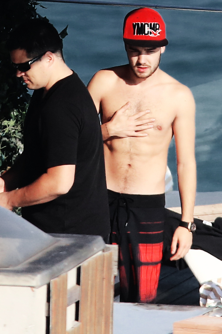 everyzaynaboutlou:  The Bodies - One Direction May 2014 Brazil