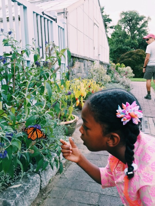 alexandraelle: wave hill park, Bronx NY. 