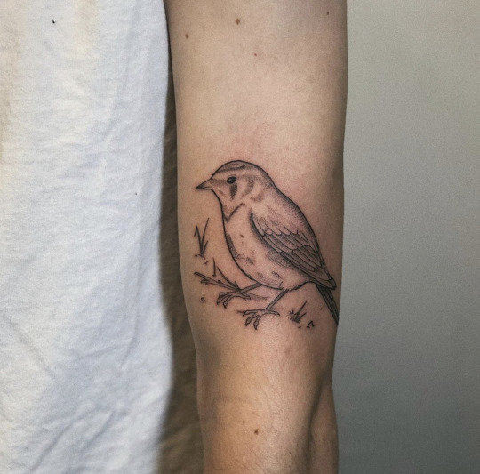 66 Beautiful Bird Tattoos with Meaning  Our Mindful Life