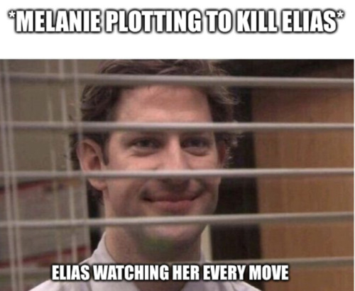 Have Some Memes, Everyone