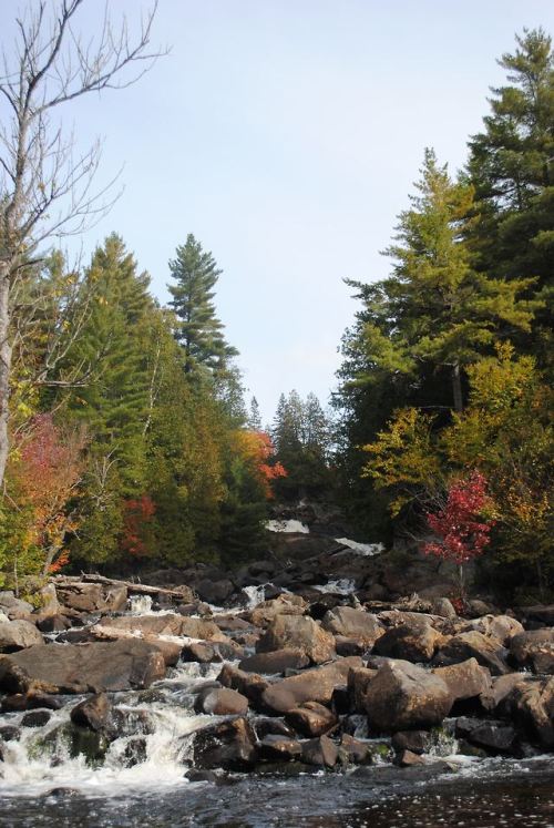 thosewhocando: Base of Ragged Falls, Algonquin Park 