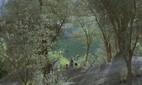 realsports:Life, and Nothing More… (1992), dir. Abbas Kiarostami.