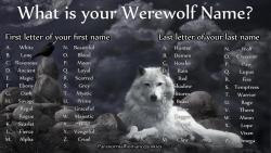 nommy-the-creeper:  gerardwaysnutsack:  fandomhaze:  hey-there-internet:  clarinetfool:  animatedcosplayer:  carryonmy-assbutt:  tennant-salad:  kitchikishangout:  MY NAME, IS FRICKIN MOON MOON. I’D BE THE MOST IDIOTIC WOLF. ‘OH SHIT WHO BROUGHT FUCKING