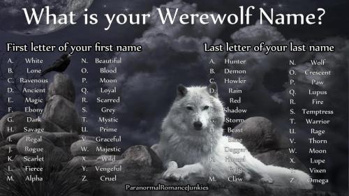 gemstoneblitz:ilhamiman: fluff-lord: Lone wolf……. Welp awoooooooooooo! I’m Regal Bane for my werewol