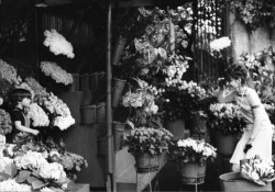 rareaudreyhepburn:  Audrey Hepburn taking a photo of her son, Luca Dotti, at a flower shop in front of her apartment in the Parioli area, on Via di San Valentino, in Rome, Italy, on May 31, 1972.  Photographs by Lino Nanni. 