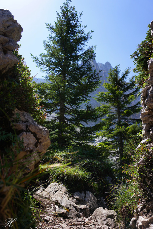 Steep path, Sorapis. (2)Belluno, Italy.