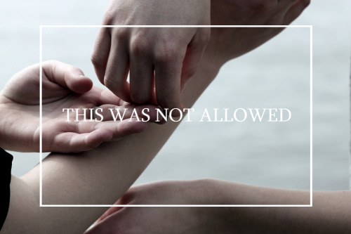 kiohne:Blue touched his fingertips.Just this —He pinched her fingers lightly, just for a moment, and then he withdrew his hand and put it back on the wheel. His chest felt warm.This was not allowed.photo credit