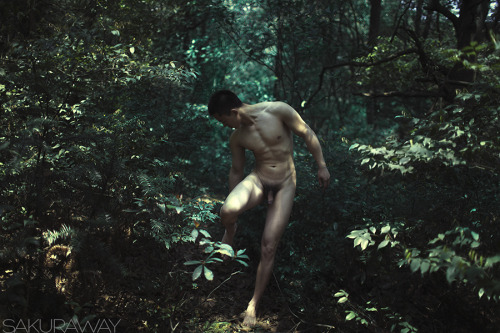 sakuraway25:  MODEL: XIBOLIN摄于九溪
